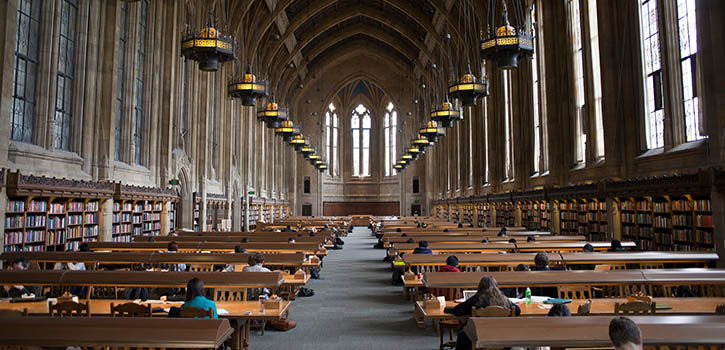 Student study in the Graduate Reading Room at Suzzallo Library, University of Washington Seattle Campus, January 25th, 2012. Photo by Katherine B. Turner